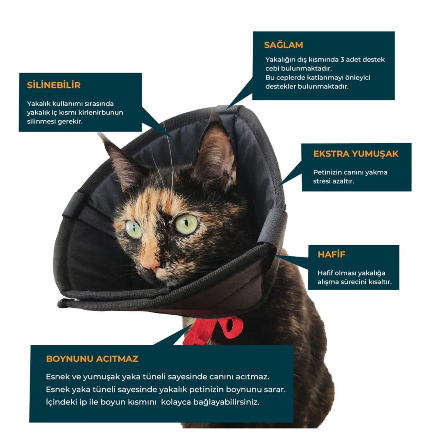 Petsuit Elizabeth Yakalık Yumuşak Kumaş 200 MM