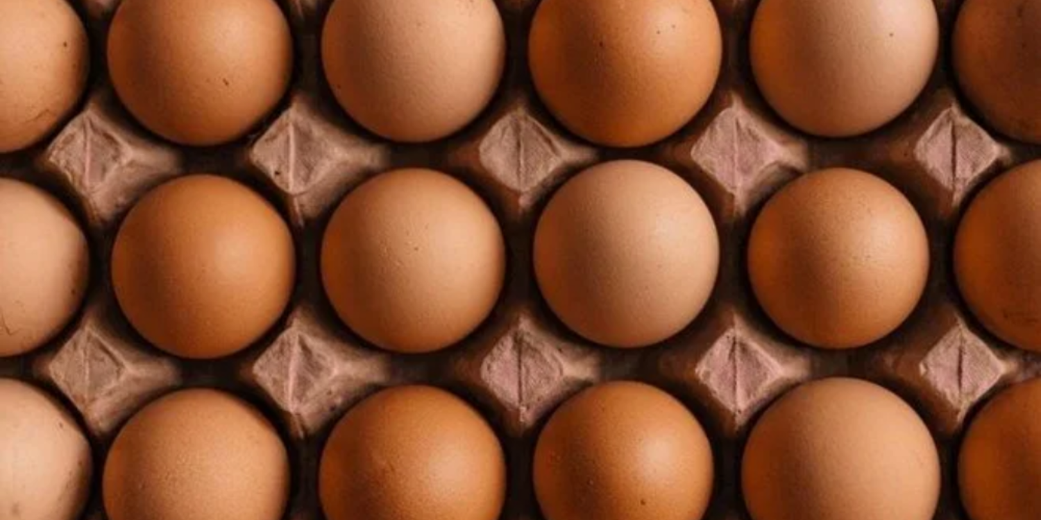 Yumurtaya peş peşe zam