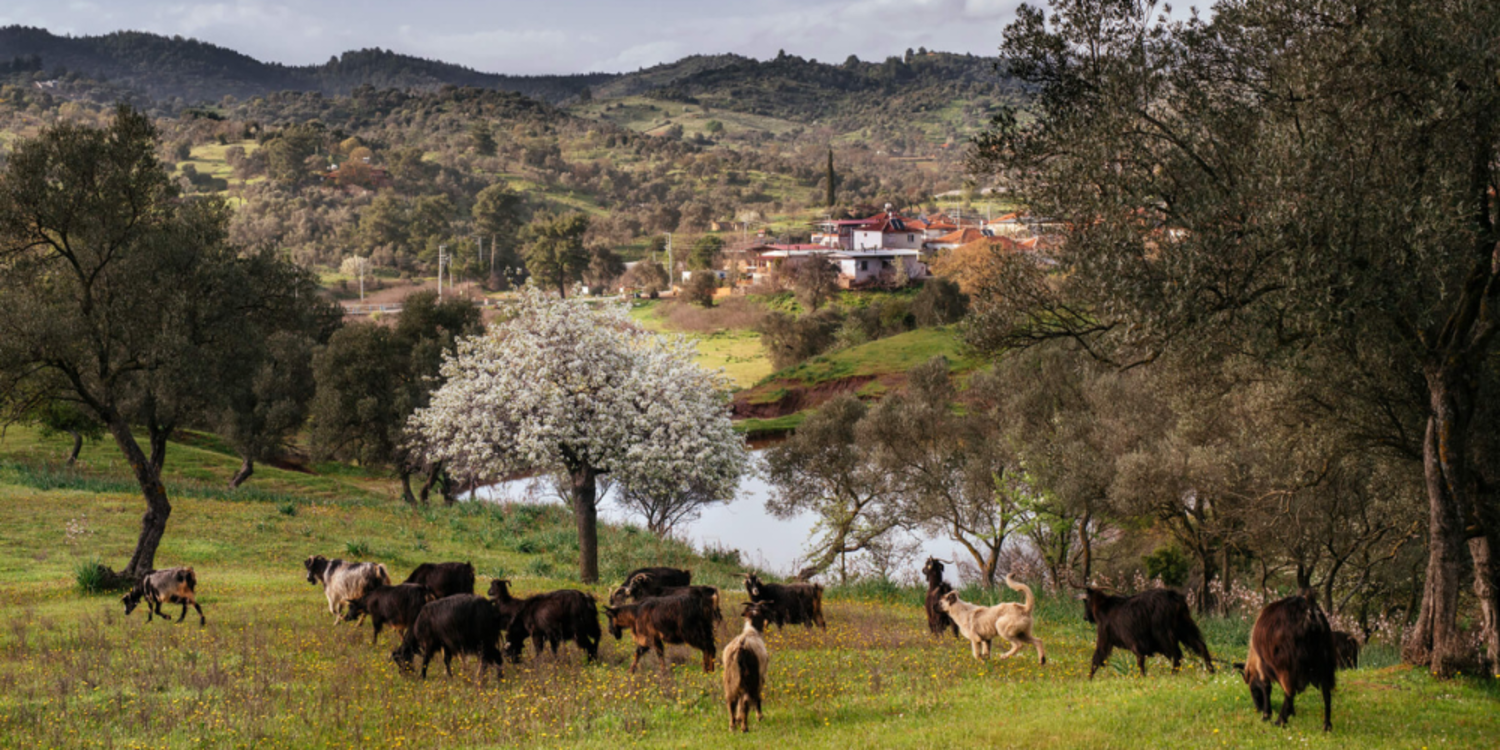 200 yıllık tecrübeyi Slow Food’la taçlandırdılar