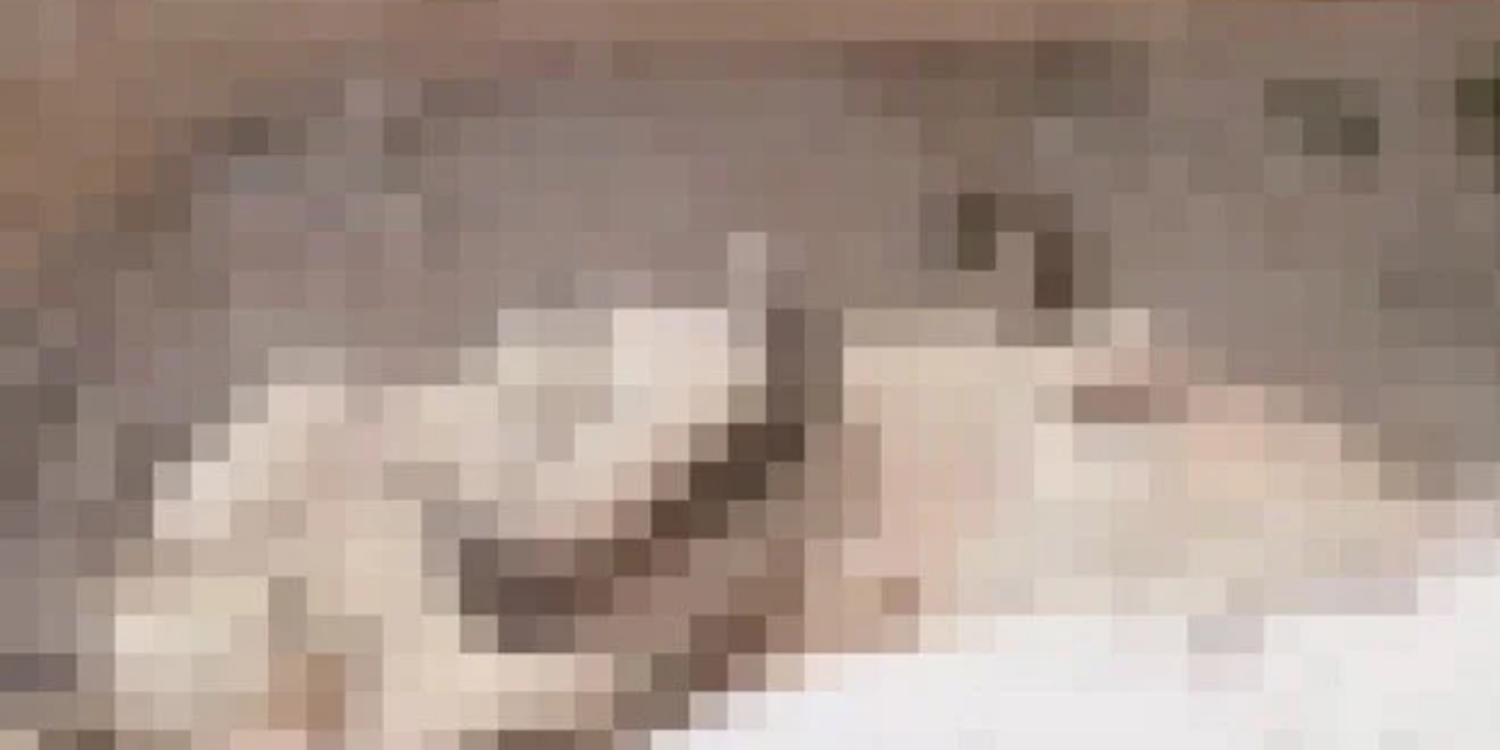 Niğde’de köpek katliamı iddiası