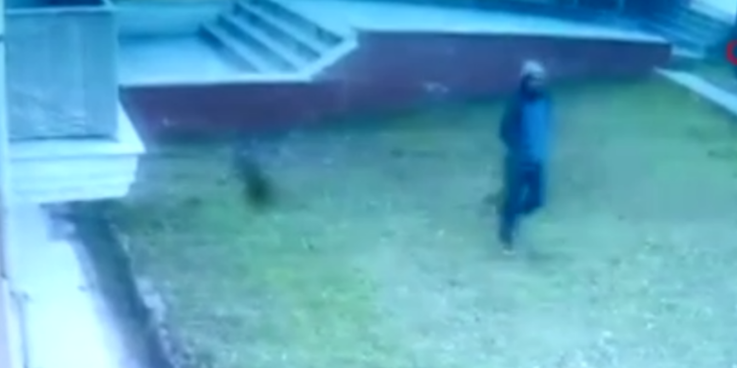 Saplantılı komşuya ev hapsi cezası