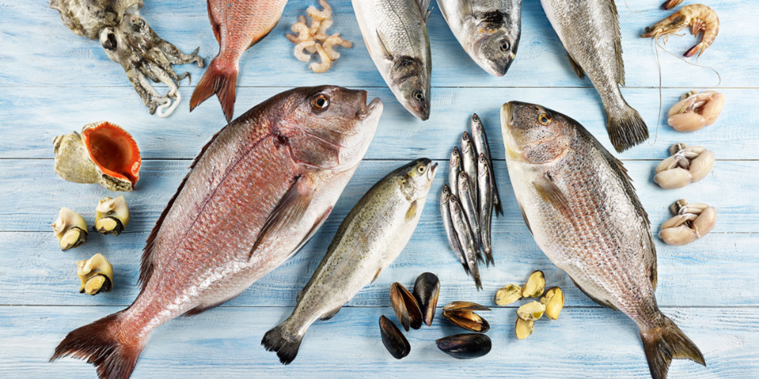 Su ürünleri ve hayvansal mamuller sektörü hedef büyüttü