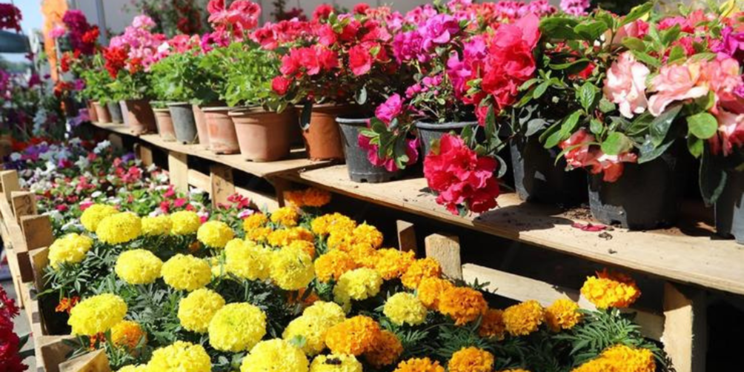 Bayındır 25. Uluslararası Çiçek Festivali başlıyor