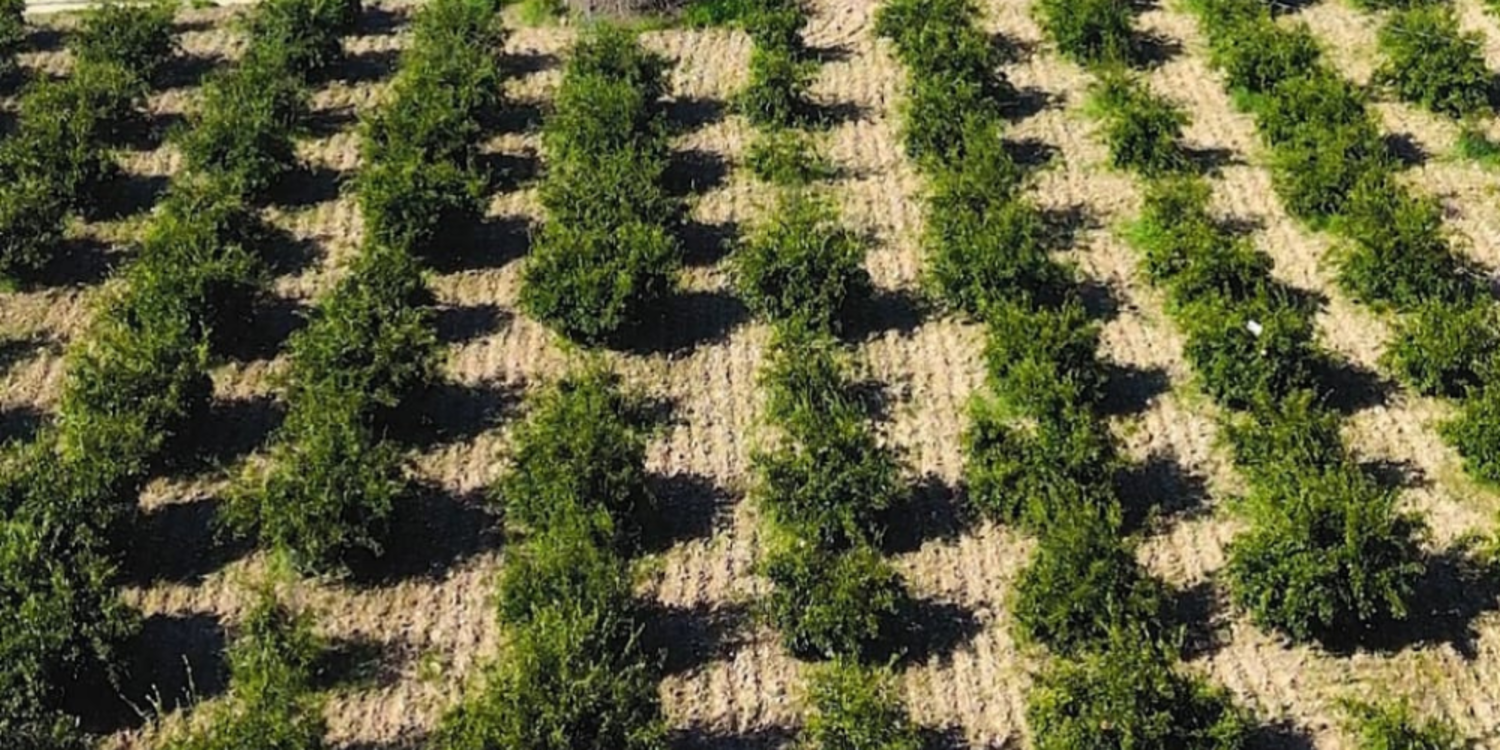 Belediyeden çiftçiye 1000 TL’lik sulama desteği