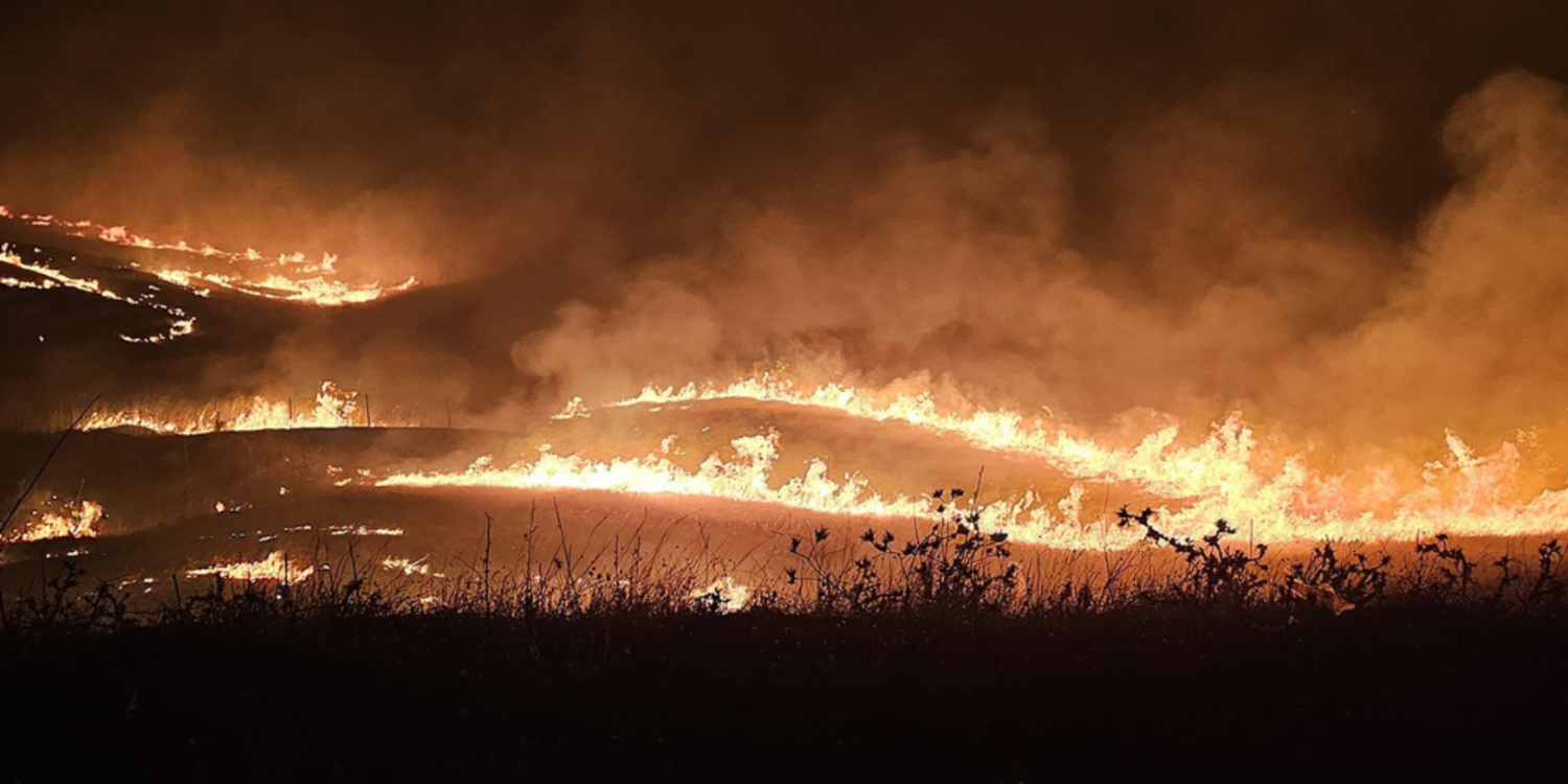 Diyarbakır ve Mardin arasında anız yangını: 11 can kaybı