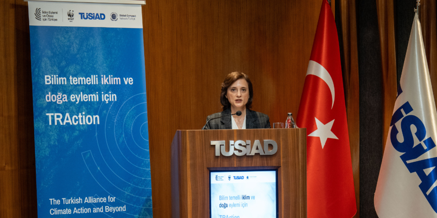 Avrupa Yeşil Mutabakatı’na uyum için İklim Eylemi ve Ötesi Platformu