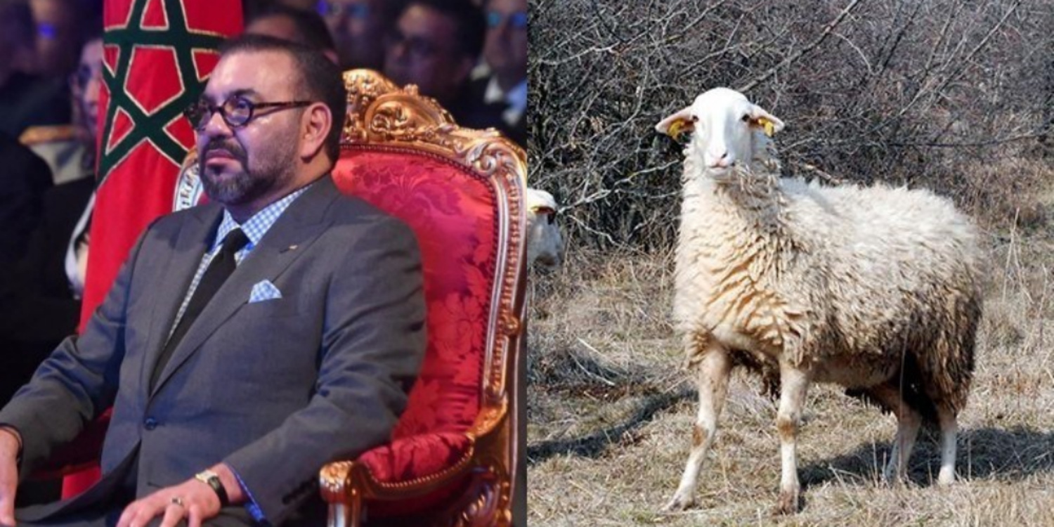 Fas’ta dördüncü kez kurban kesilmeyecek