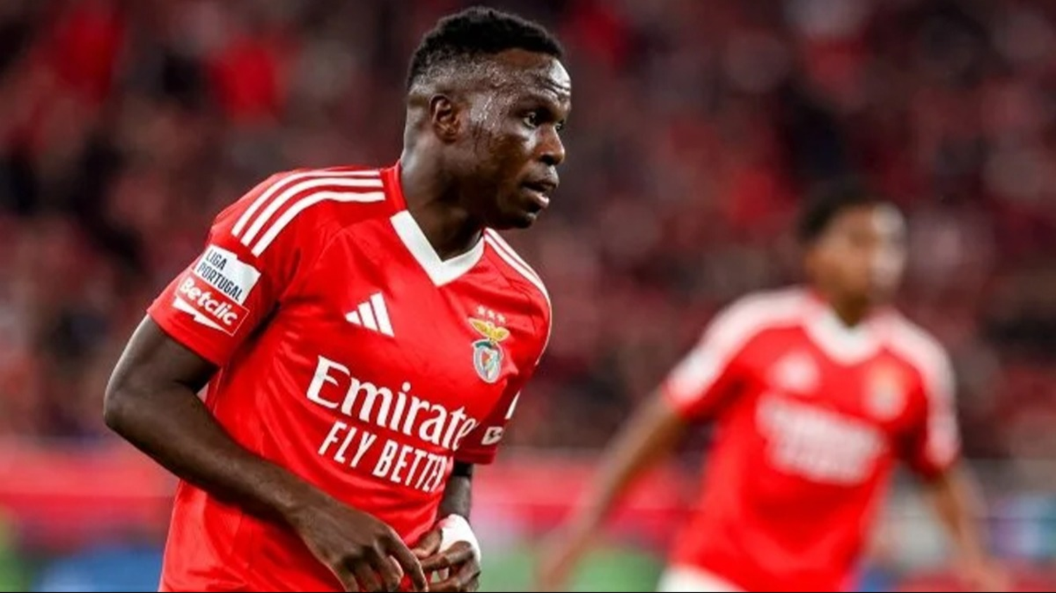 Bruma sezonu kapattı