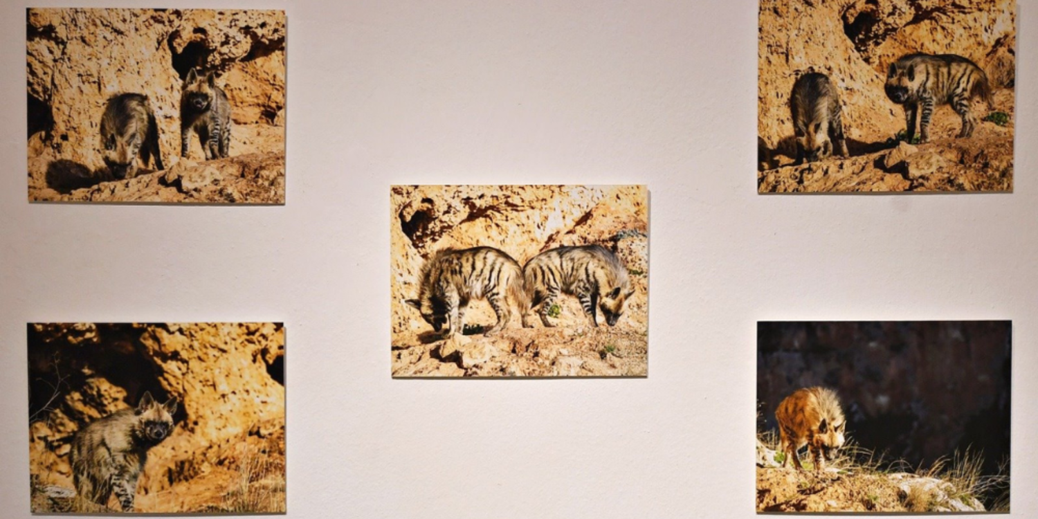 Depremzedelerle dayanışma sergisi