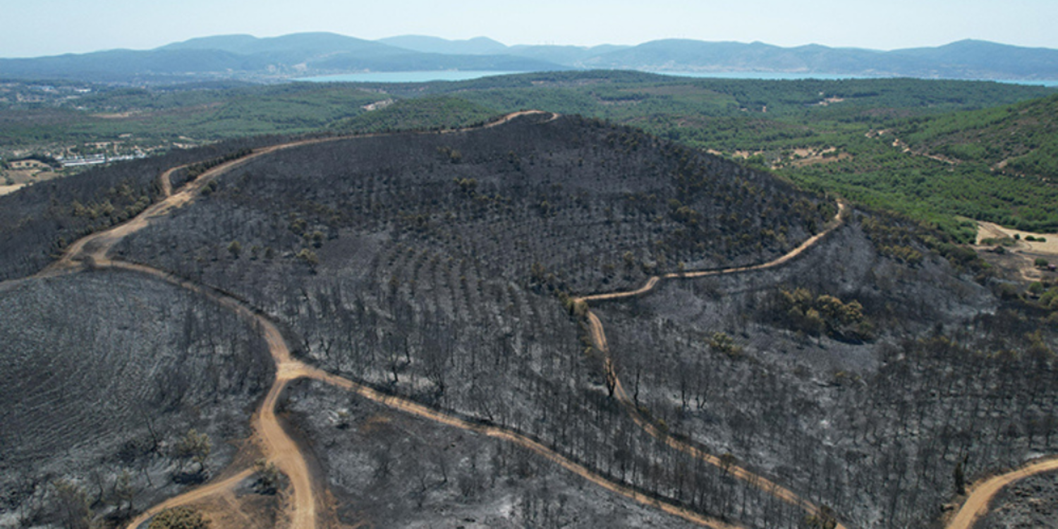 Urla küllerinden doğacak