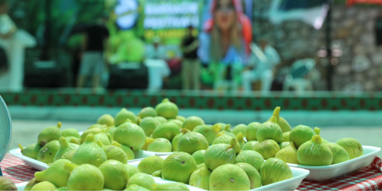 Payamlı Bardacık Festivali'nde toprak reformu müjdesi