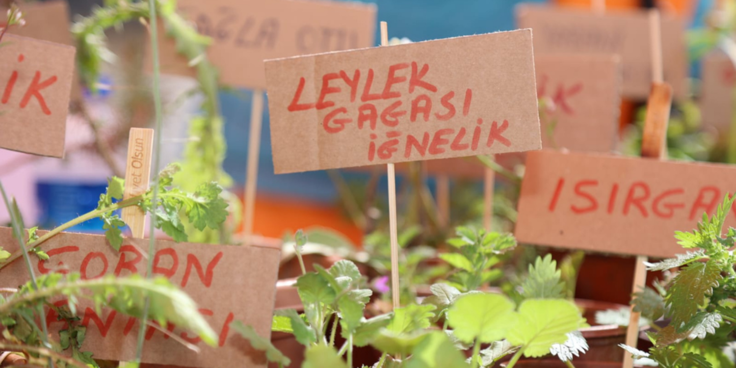 Urla’ya bahar otlarla geldi