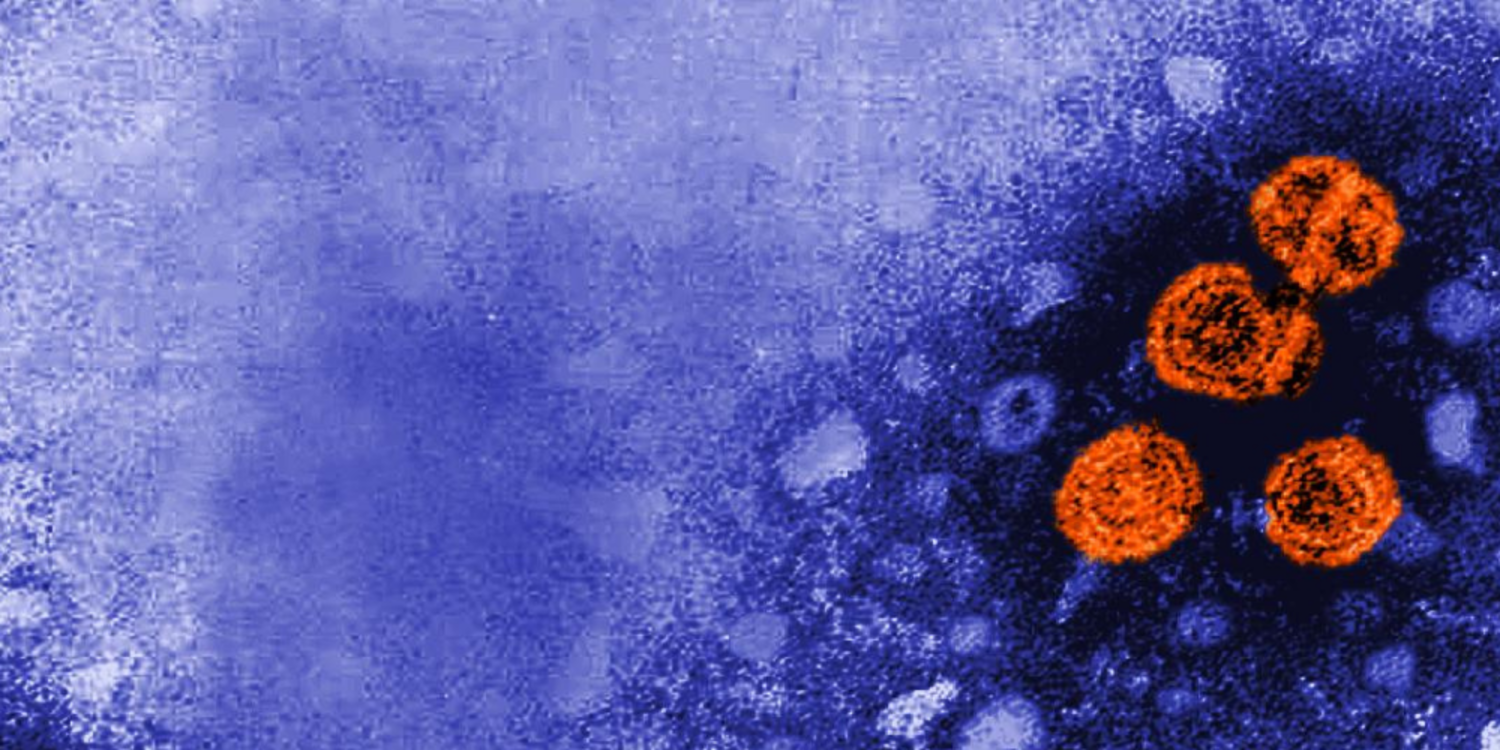 Her yıl 1,4 milyon kişi hepatit kurbanı