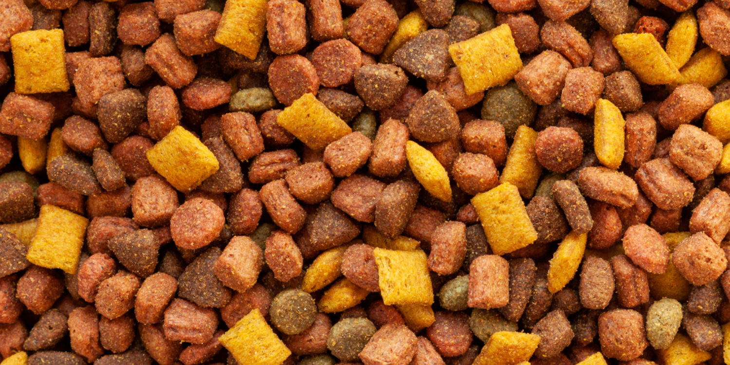 Kedi köpek maması ihracatı 10 yıl içinde 27 katına çıktı