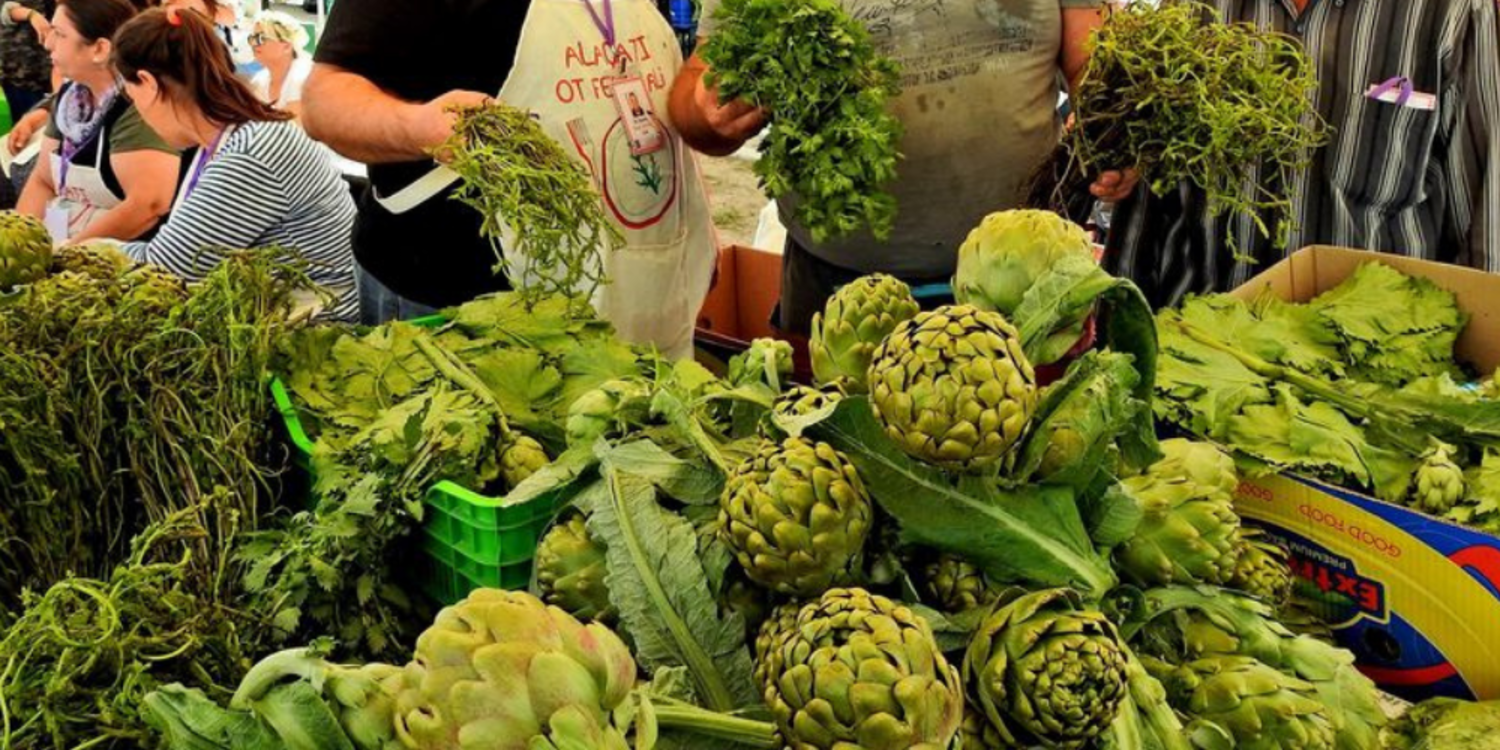 Alaçatı Ot Festivali başlıyor