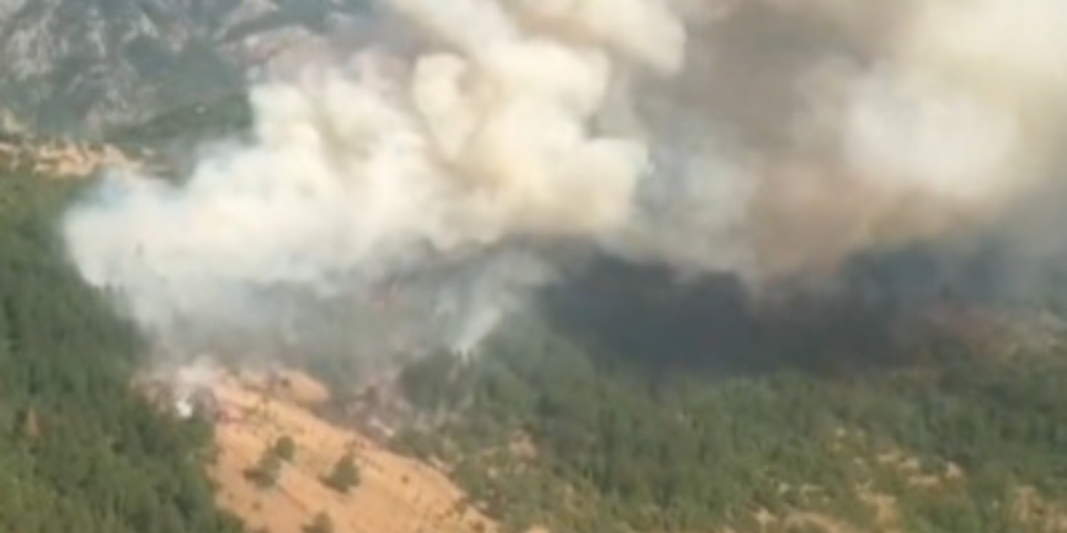 Spil Dağı'nda çıkan orman yangını kontrol altına alındı