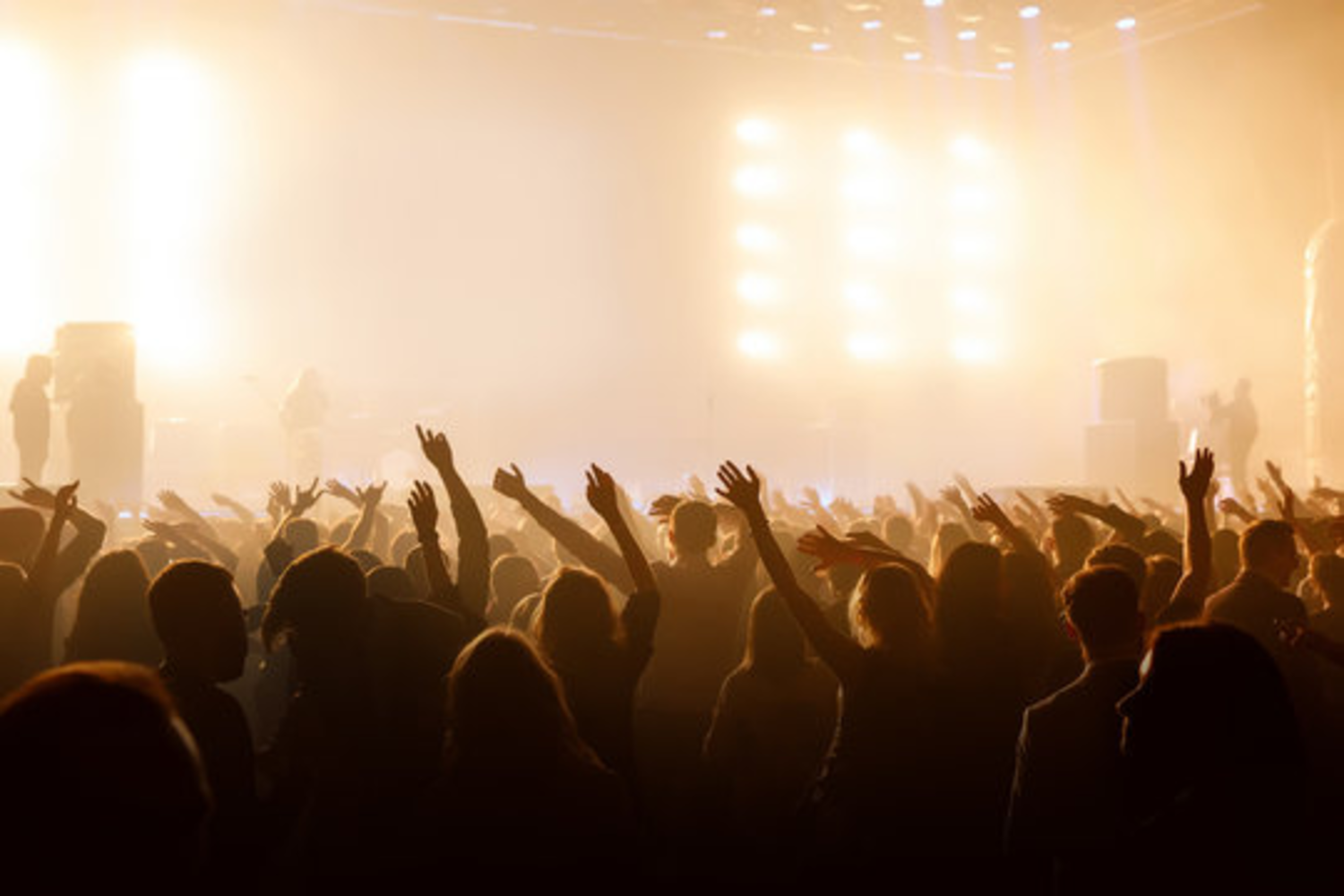 Konser zengini sanatçılar belli oldu