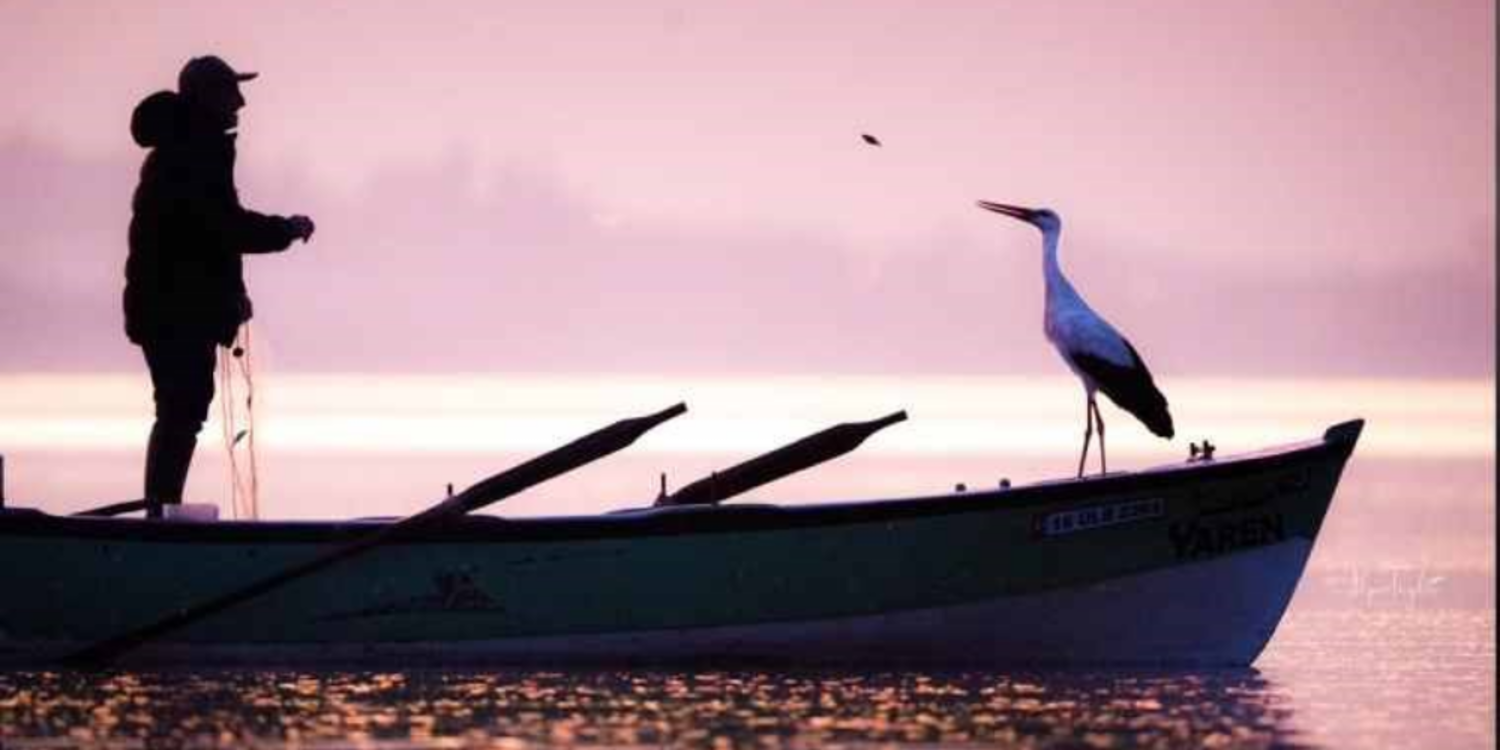 Yaren Leylek 14. kez Balıkçı Adem’in yanında