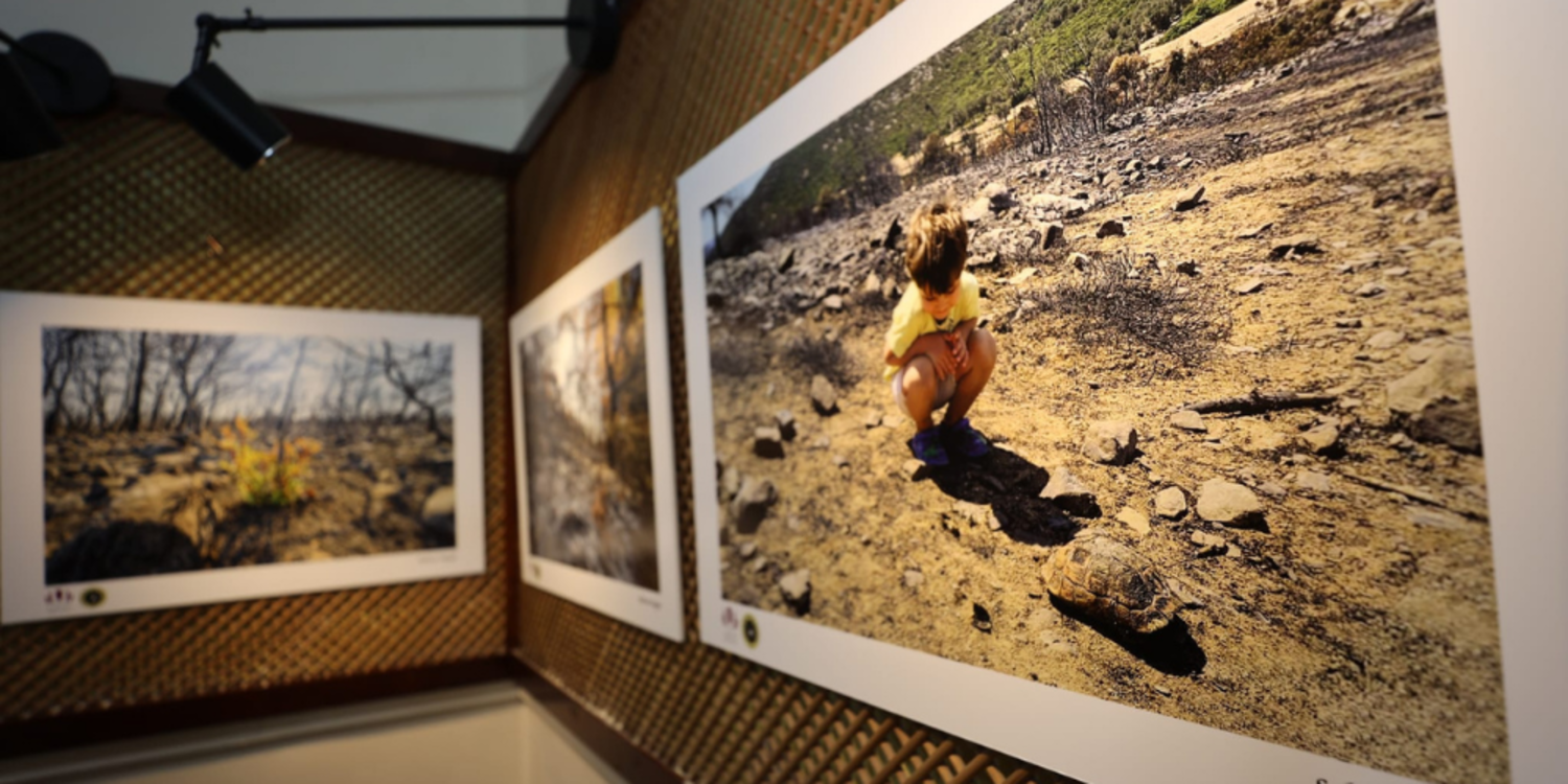 Urla’da orman yangınlarına dikkat çeken fotoğraf sergisi