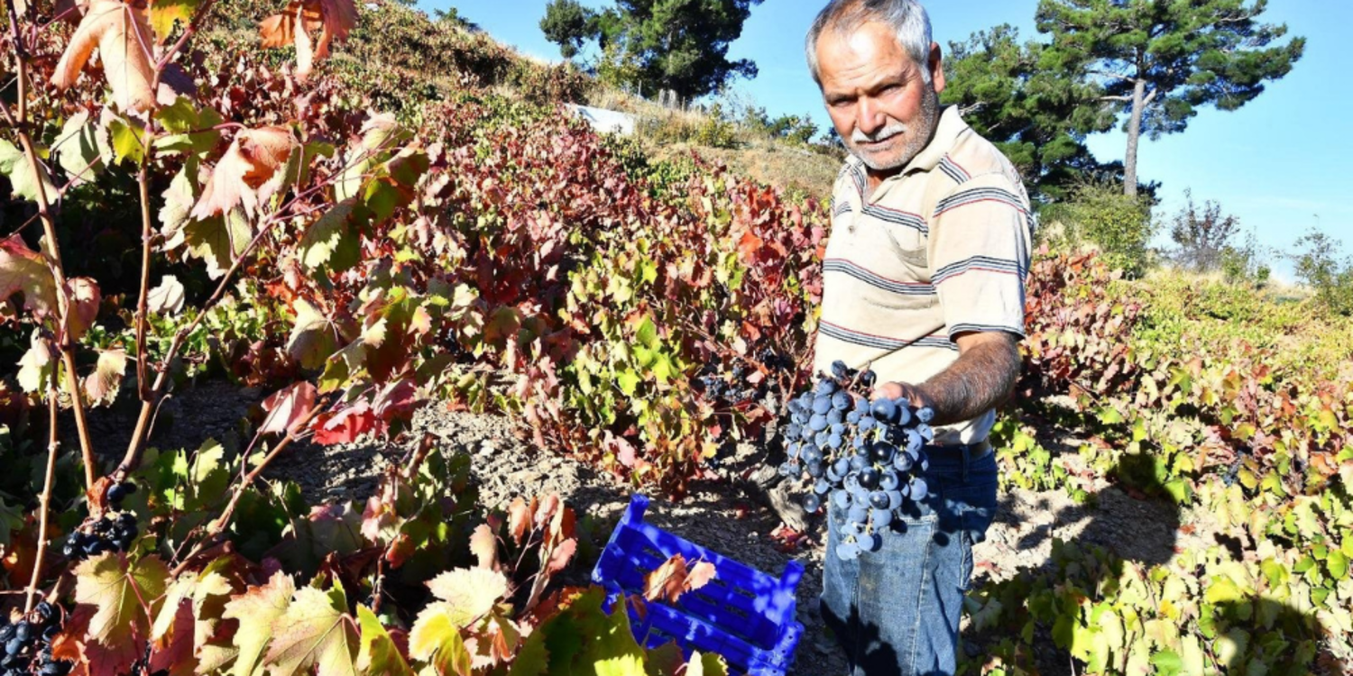 Hem üreticiye hem dar gelirliye destek
