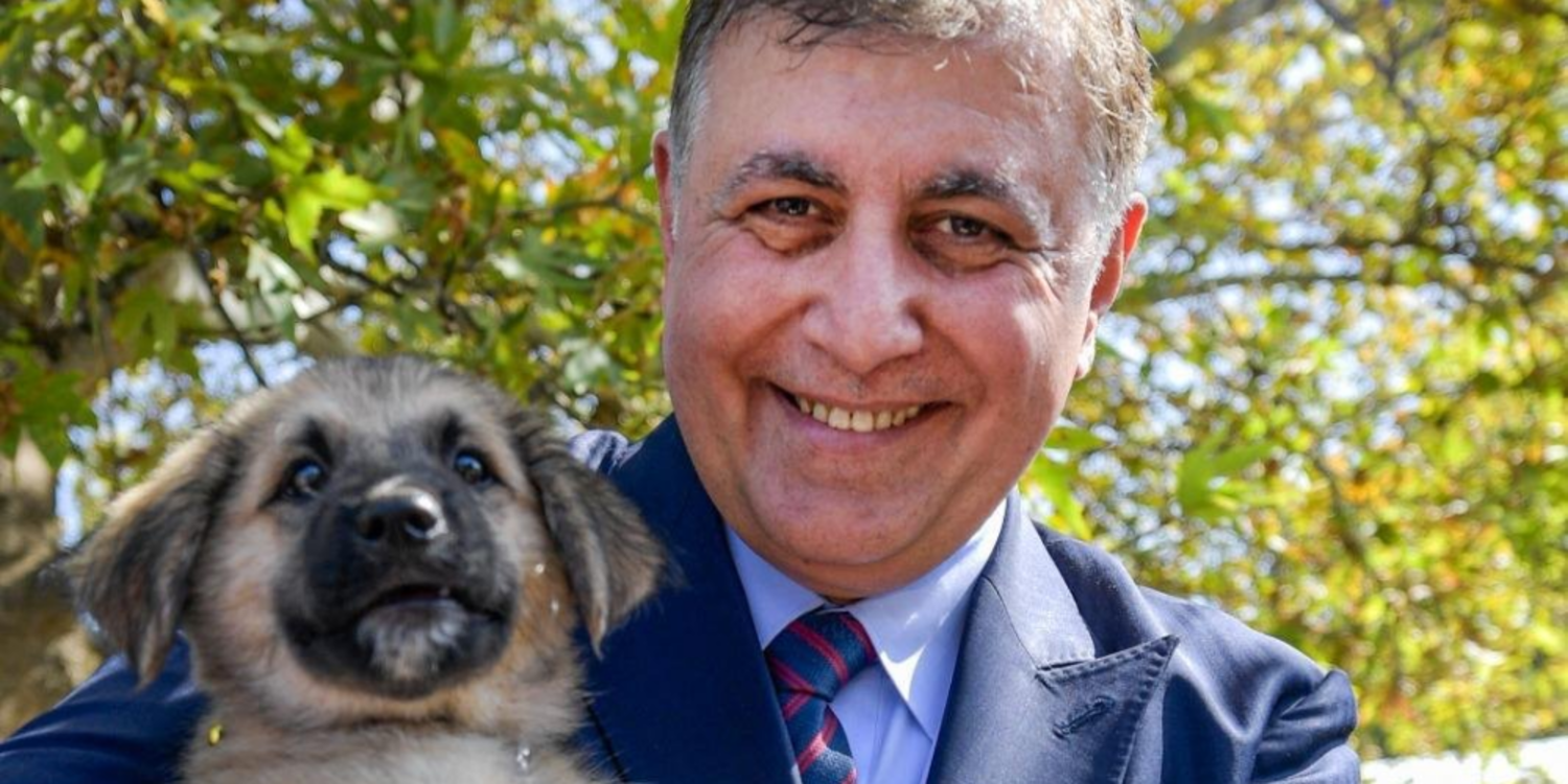 İzmir’de sahiplenilen hayvanlar ücretsiz kısırlaştırılacak