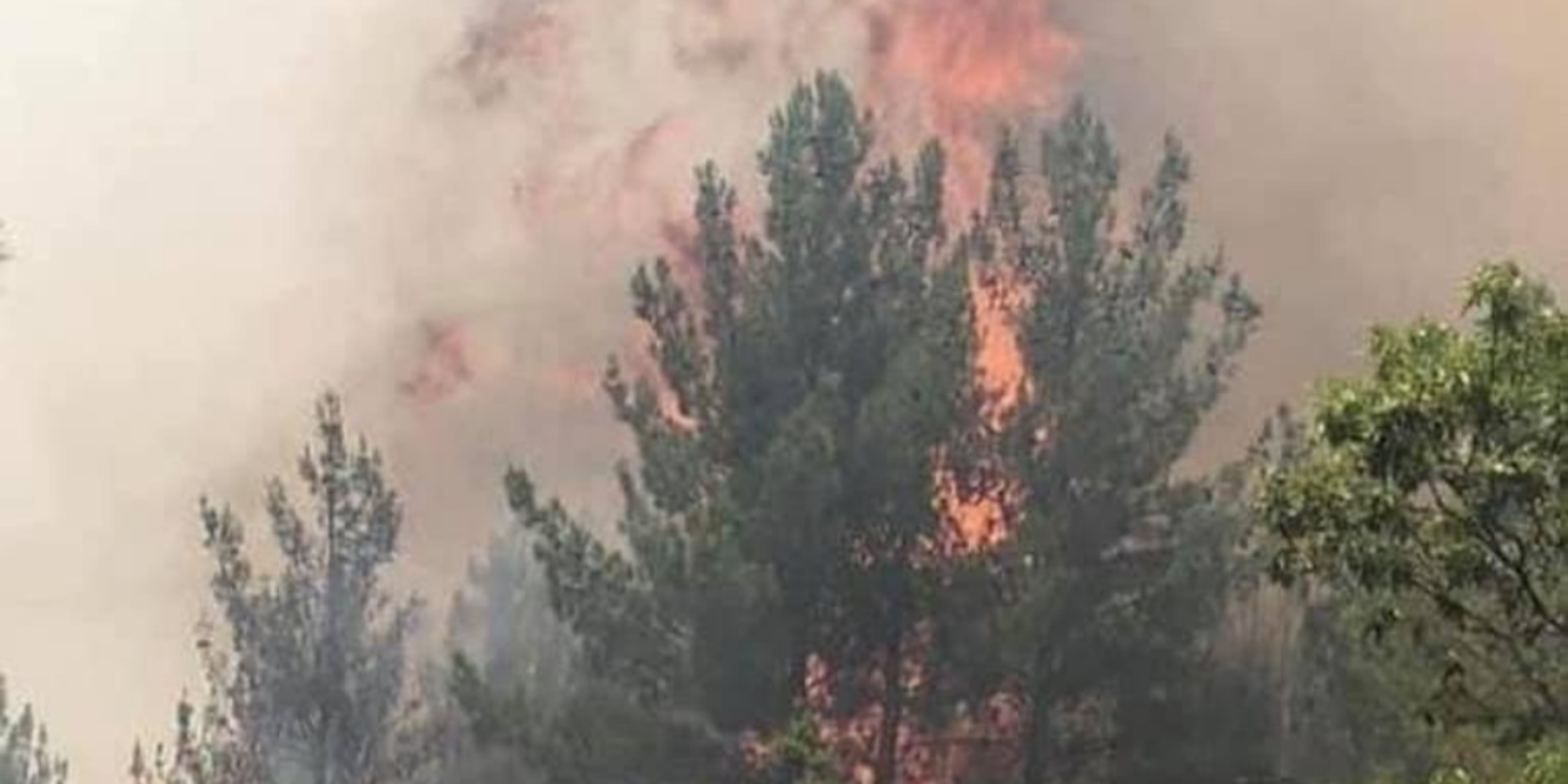 Yangınlar kontrol altına alındı: 4 kişi gözaltında