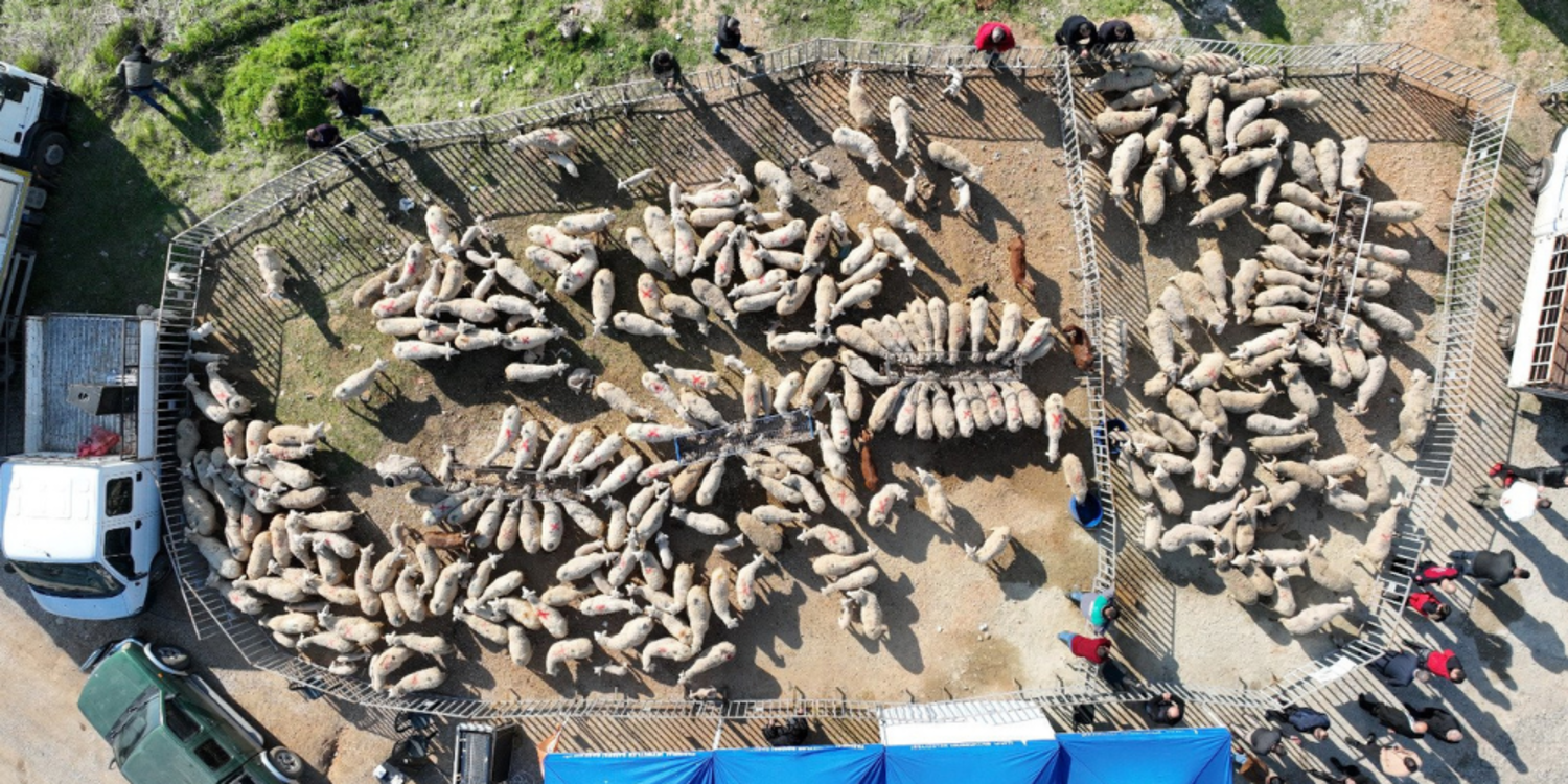 İzmir'de 3 bin 706 üreticiye destek 