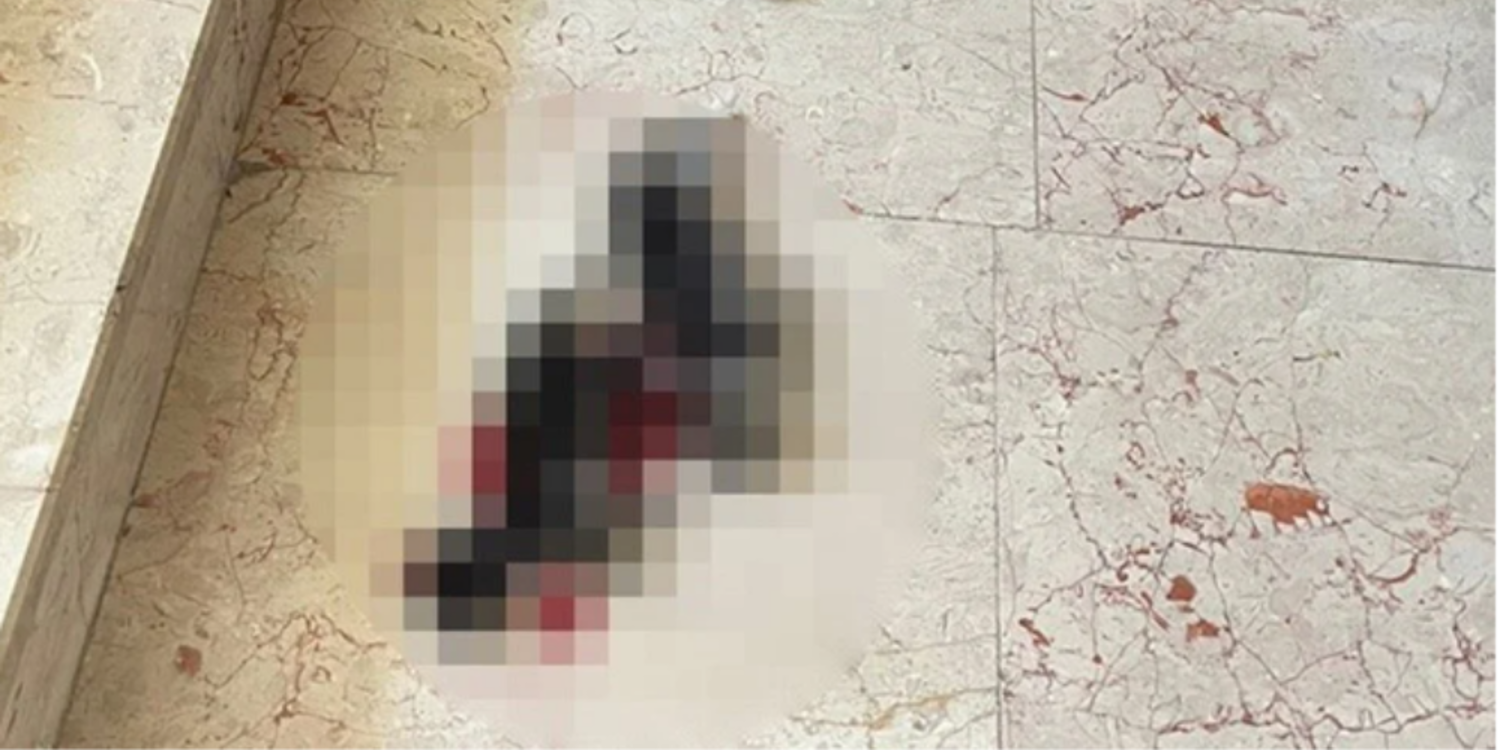 6 yavru kedi başları kesilerek öldürüldü