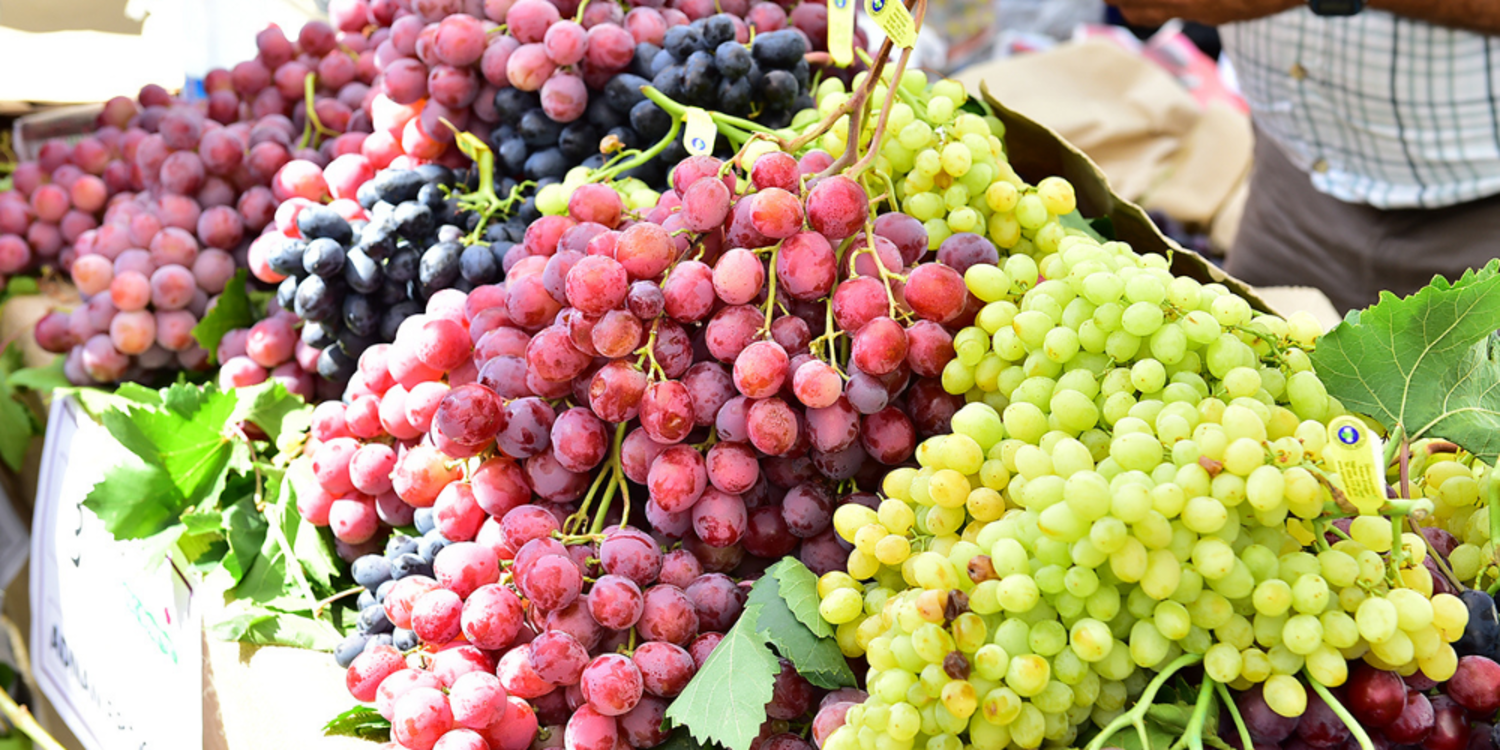 Geleneksel Bağbozumu Şenliği başladı