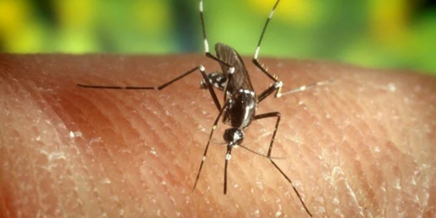 Sağlık Bakanlığı'ndan Batı Nil Virüsü açıklaması