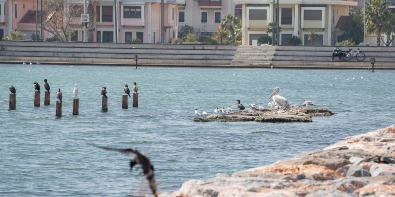 Flamingo Doğa Parkı’nda yüzde 80’lere gelindi