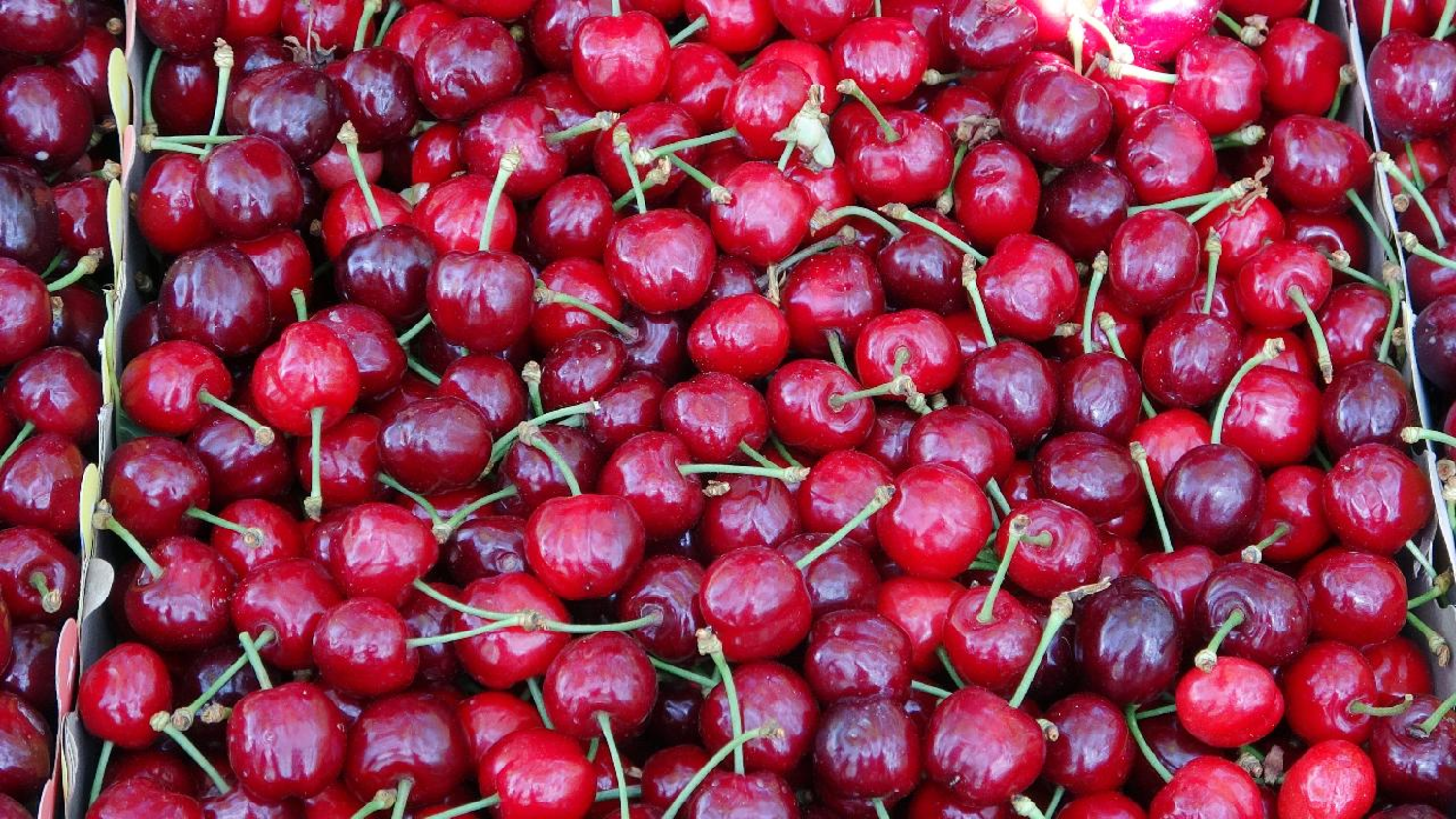 Temmuz ayında fiyatı en çok artan ürün belli oldu