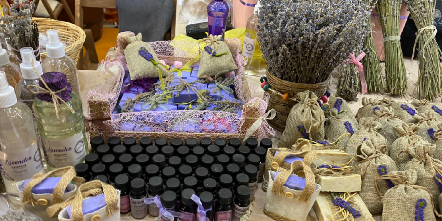 Seferihisar'da lavanta hasadı zamanı