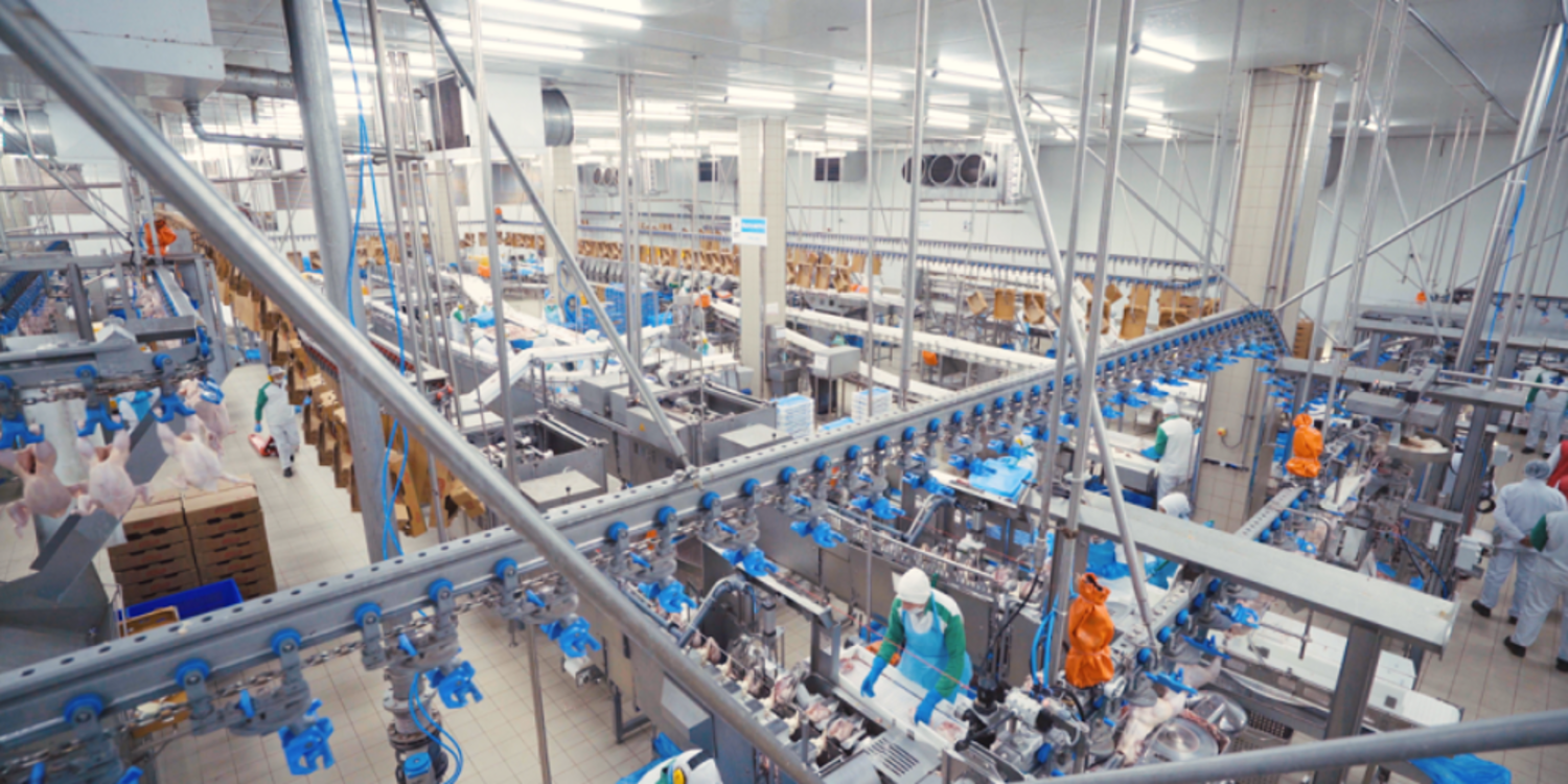 Lezita’dan 1.35 milyar TL’lik yatırım