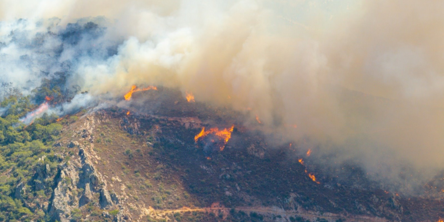 Başkan Tugay’dan yangın raporu