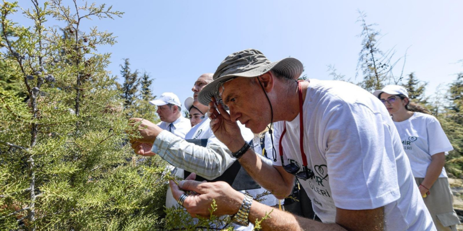 Yeşil İzmir Gönüllüleri yangın bölgesinde