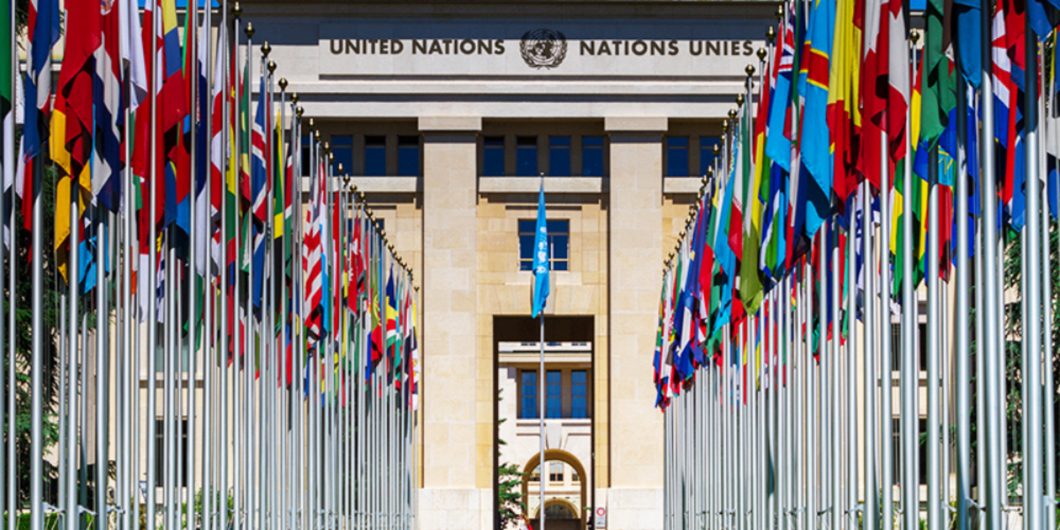 BM'den Ukrayna'ya yardım çağrısı