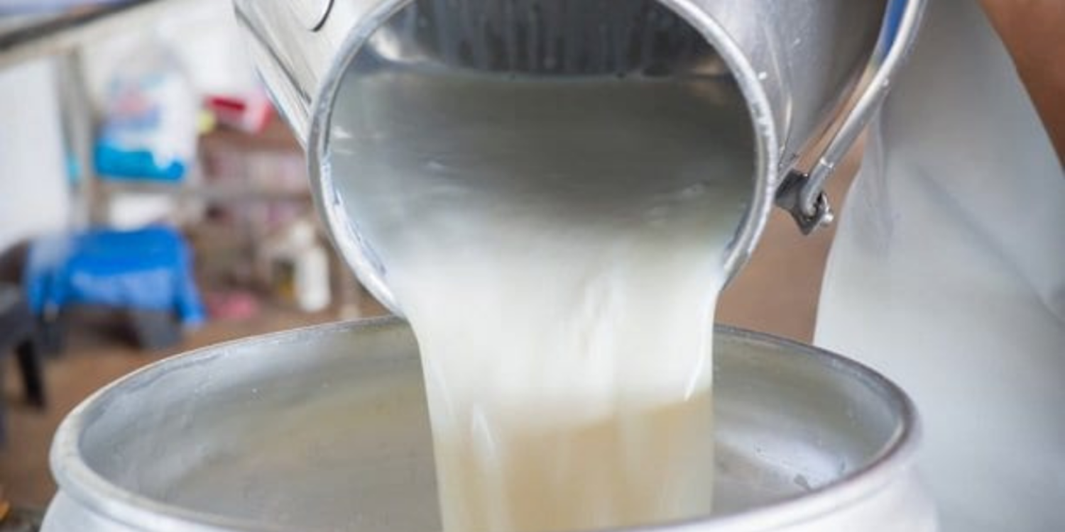 Çiğ süt fiyatına zam