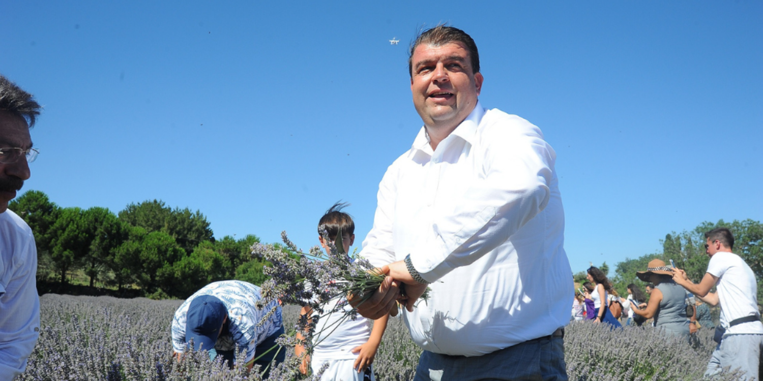 Mis kokulu lavanta hasadına geri sayım başladı