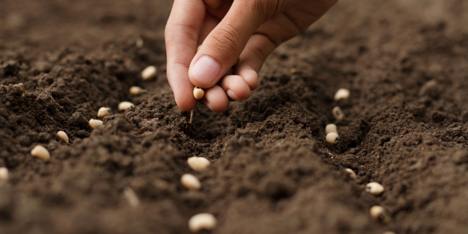 Küresel iklim değişikliği gıdaya erişimi zorlaştırıyor