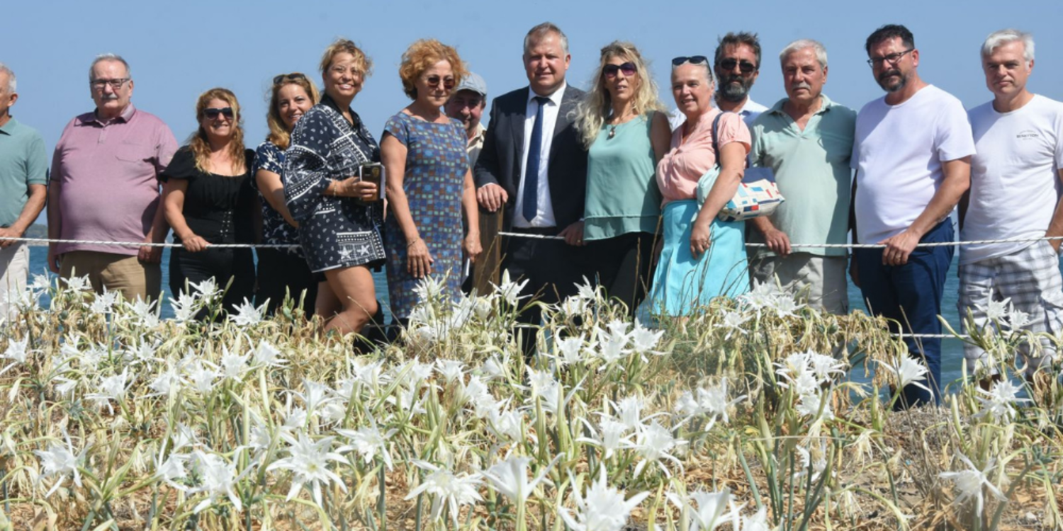 Urla'nın kum zambakları koruma altında