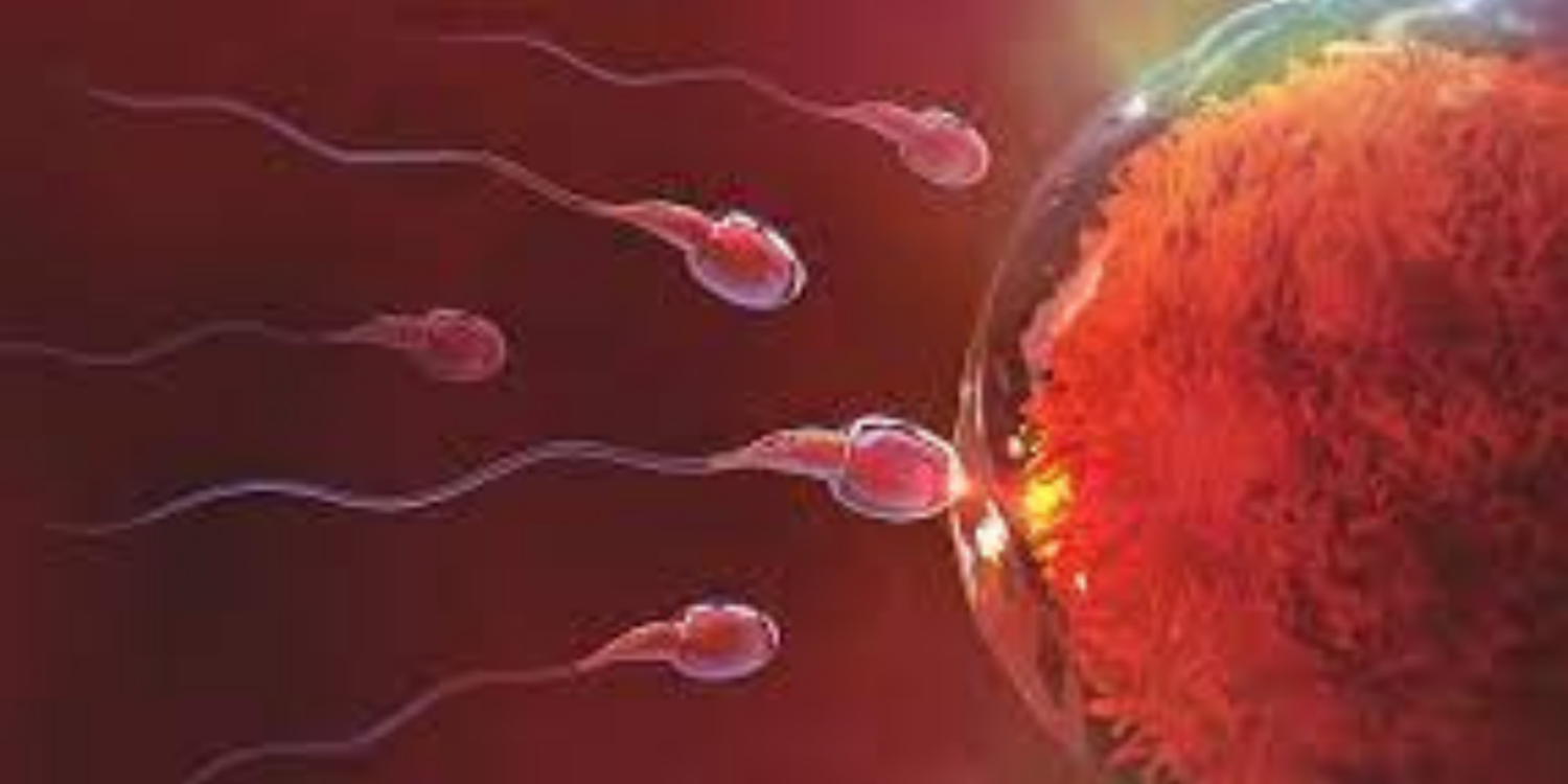 Kanser tedavisinde doğurganlık korunabilir