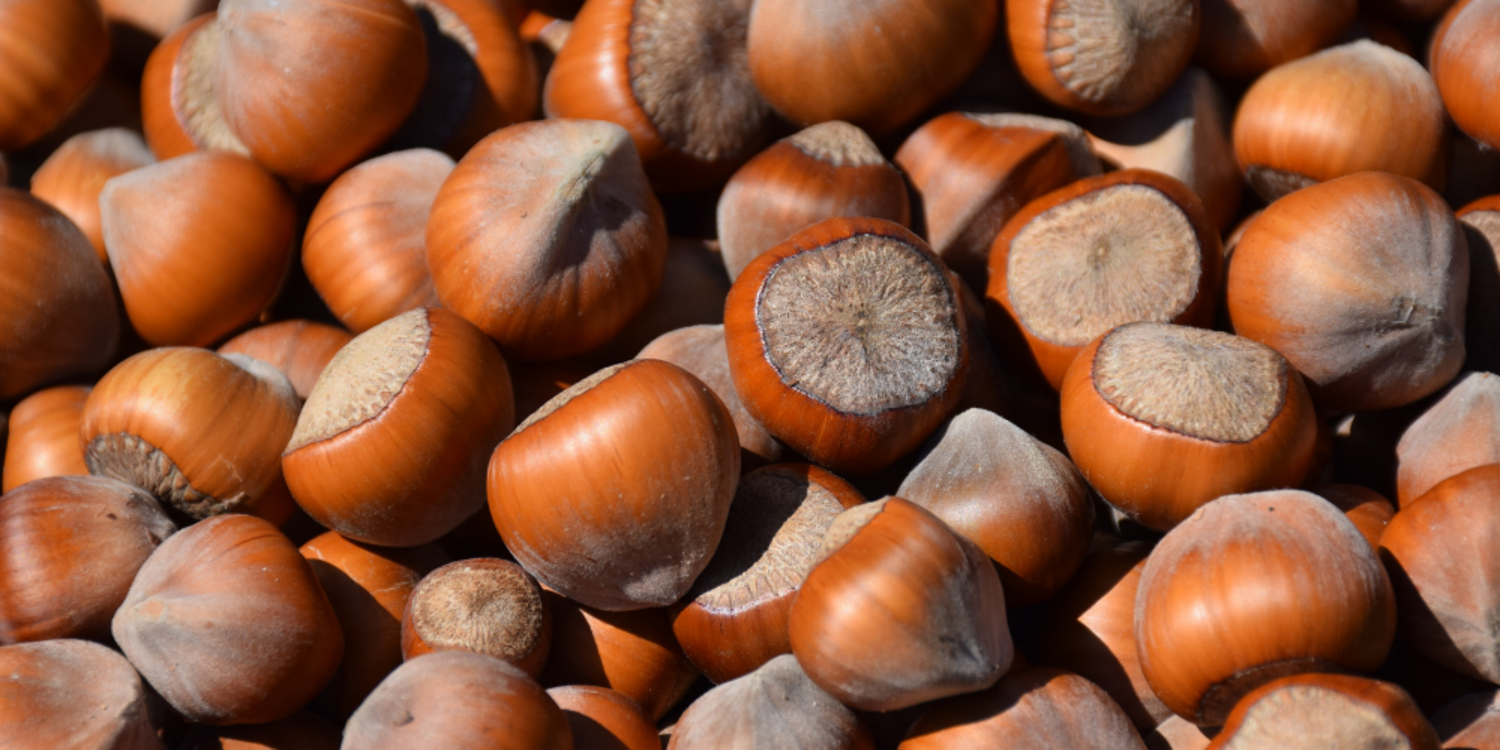 Fındık alım fiyatları belli oldu