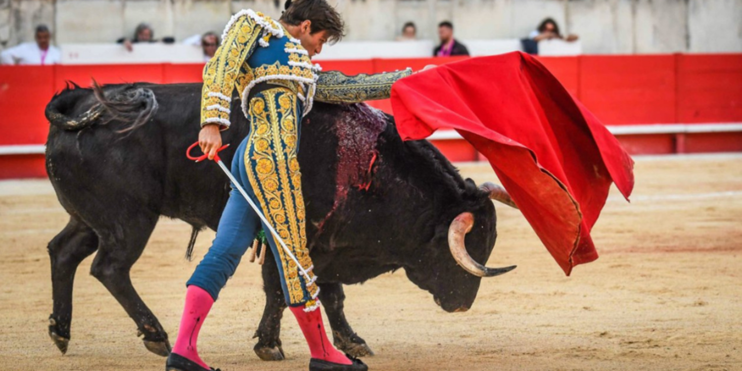 Kolombiya'da boğa güreşleri yasaklandı