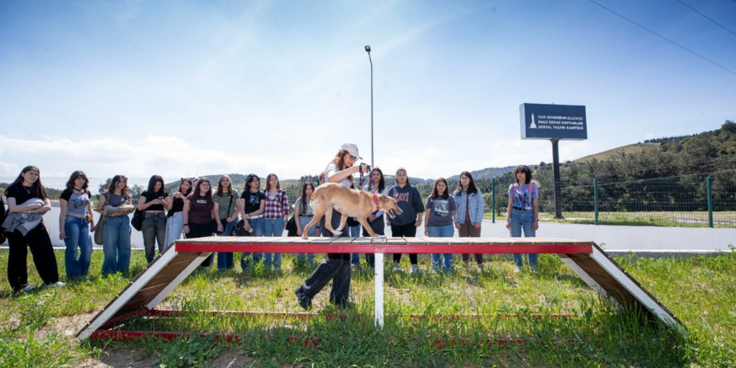 Dünya Sokak Hayvanları Günü PAKO’da kutlandı