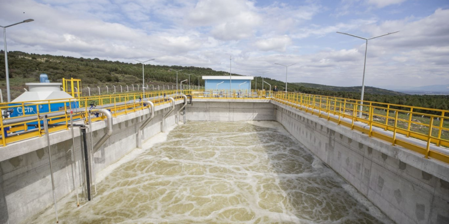 Keçilerin ölüm nedeni zehirlenme değil