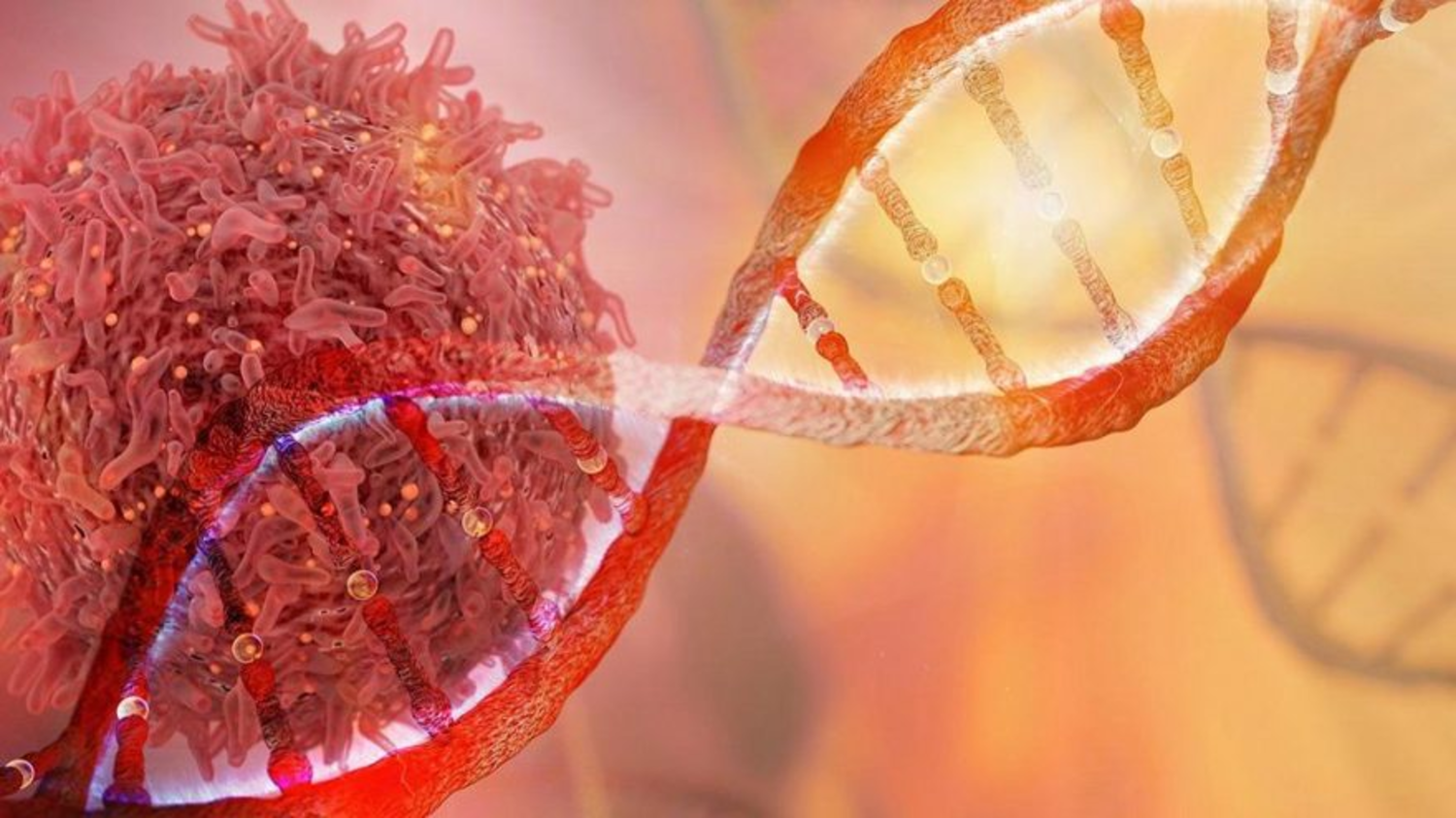 Kanserle ilgili en yaygın 11 efsane ve 11 gerçek