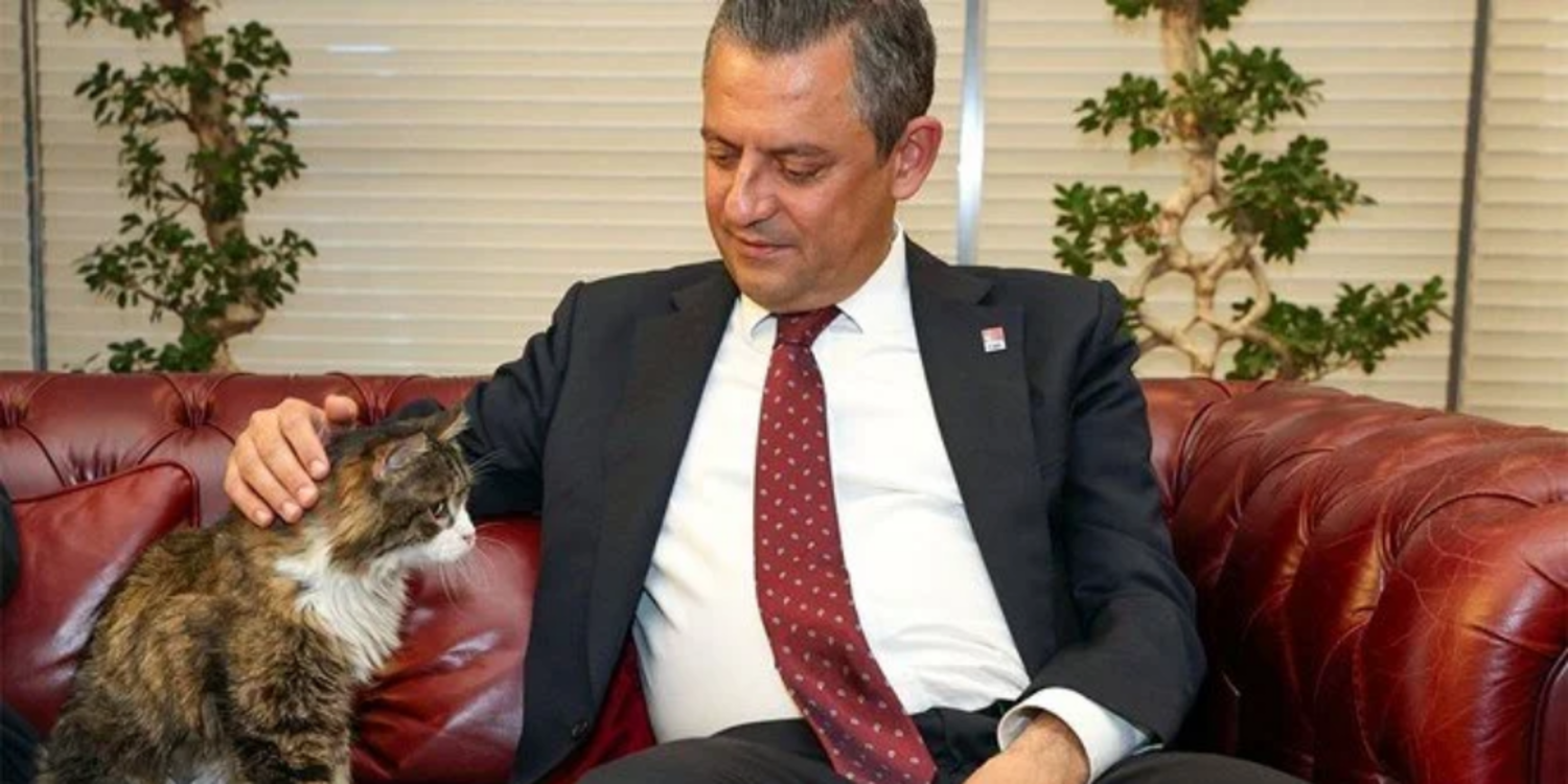 CHP'nin kedisi 'Şero' öldü