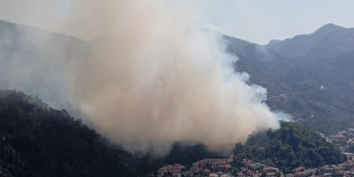Avustralya'da orman yangını