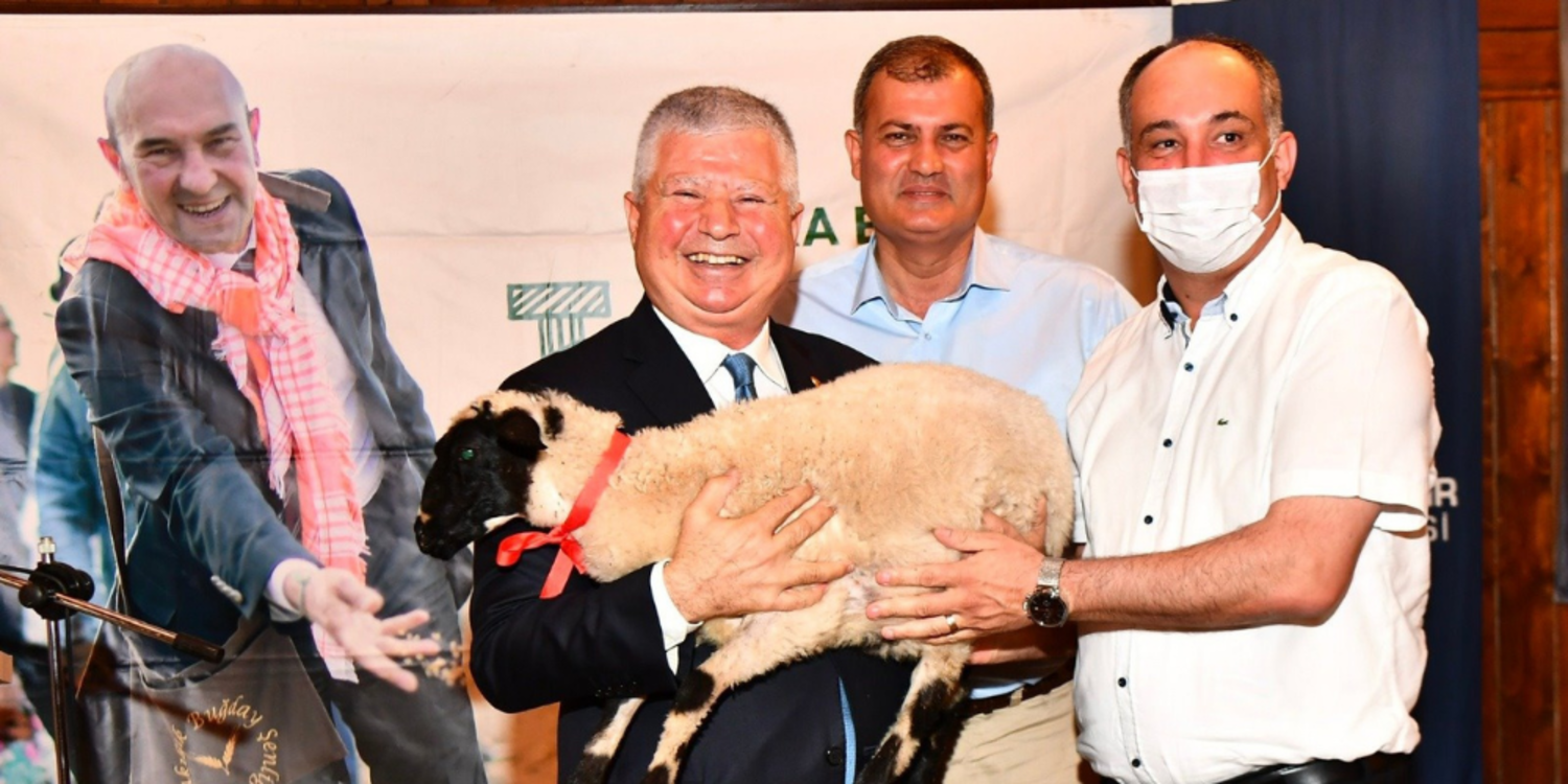 İzmir Büyükşehir Belediyesi’nden 12 bin küçükbaş hayvan